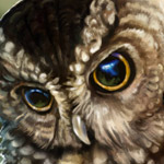 Owl by Valence