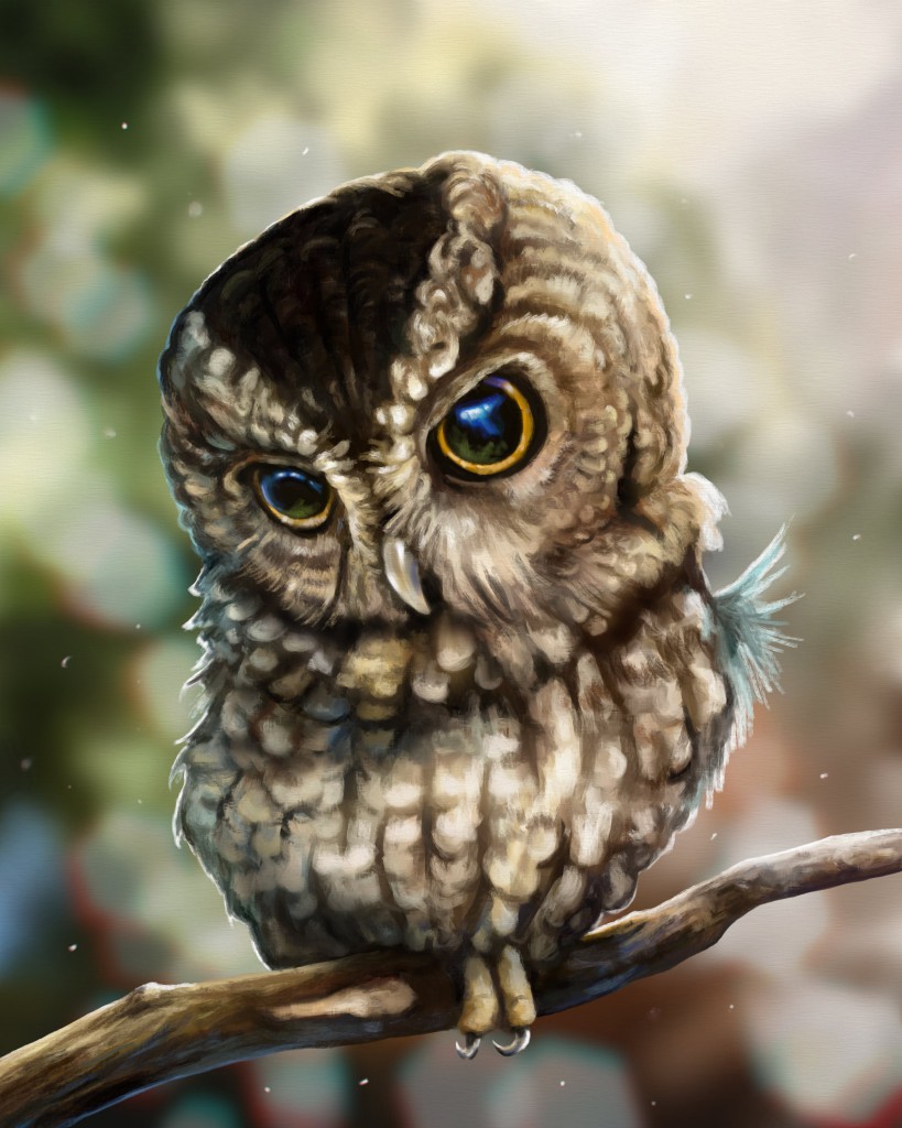 An Owl.jpg